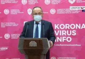 Коронавирус ит ва мушуклардан одамга юқадими? Мутахассис жавоб берди фото