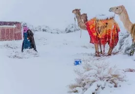 Sahroi Kabir va Saudiya Arabistonida qor yog‘di (foto) фото