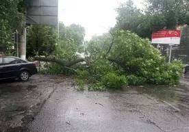 Toshkentda kuchli shamol bo‘lishi kutilmoqda, avtomobillarni xavfsiz joyga qo‘yish so‘raldi фото