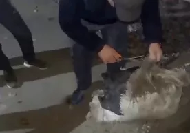 Fargʻonadagi xonadonda 21,5 kilo giyohvand modda koʻmib qoʻyilgani aniqlandi (video) фото