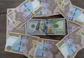 2019 йилда сўм долларга нисбатан неча фоизга қадрсизлангани маълум қилинди фото