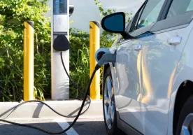 Qirg‘izistonda elektromobillar yashil davlat raqamida harakatlanadi фото