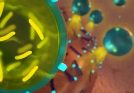 O‘ta chidamli bakteriyalarni ham halok qila oladigan probiotik-antibiotik yaratildi фото