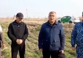 Қашқадарё ҳокими далани пайҳон қилган қўйларни сўйиб, тарқатишни буюрди (видео) фото