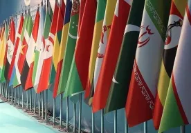 Islom hamkorlik tashkiloti Isroilning Falastinga hujumlarini qoraladi фото
