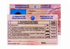 Тошкентда 1 ноябрдан кейин ҳам ҳайдовчилик гувоҳномасини олиб қўйилишига асос бўладиган 14 та ҳолат фото