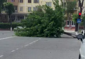 Toshkentda yomg‘ir va kuchli shamol bo‘lishi mumkinligi e’lon qilindi фото