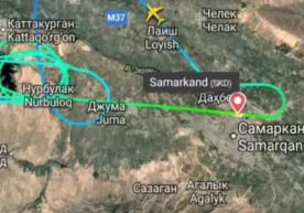 Samarqanddan Moskvaga uchgan Utair samolyoti nega favqulodda qo‘nish qildi? фото