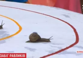 Буюк Британияда шиллиққуртлар ўртасида пойга ўтказилди (видео) фото