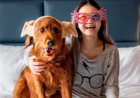 “Garri Potter”dagi sehrli iboralarni o‘rganib olgan it TikTok'ni zabt etdi фото