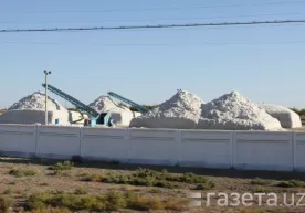 Саккиз нафар раҳбар ходимларни пахта йиғимига мажбурий жалб қилгани учун жазоланди фото