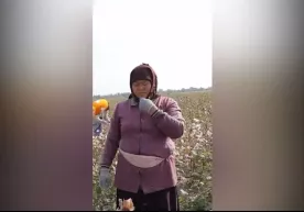 Zoir Mirzayev televizorda eriga murojaat qilib, qizining to‘yida duogo‘y bo‘lishini so‘ragan ayolga to‘yona ulashdi фото