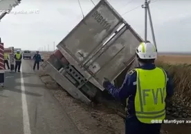 Дарахт кўчатлари ортилган юк автомашинаси ағдарилиб кетди (видео) фото
