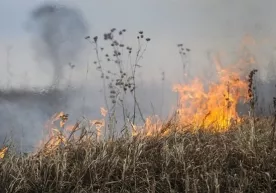 Rossiya qo‘shinlari minalangan maydonlarga o‘t qo‘yishni boshladi фото