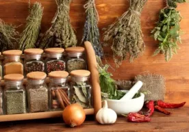 O‘zbekistonda xalq tabobati bo‘yicha yangi nizom tasdiqlanadi фото