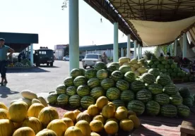 Tarvuz narxini ko‘rganlarning "tarvuzi qo‘ltig‘idan tushmoqda"... фото
