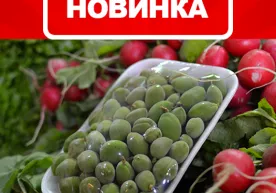 Korzinka.uz қадоқланган довчаларни савдога чиқарди фото