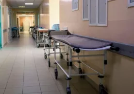 O‘likdan ham pul qilindi... Bu shu qadar g‘ayritabiiymi? фото