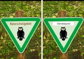 “Яндекс” суратдаги сўзни таржима қиладиган сервис яратди фото