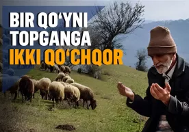 Yo‘qolgan qo‘yni topganga ikki qo‘chqor (Hayotiy hikoya) фото