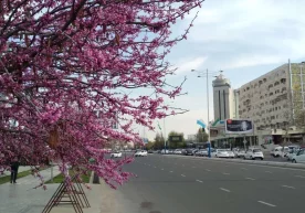 Aprel oyida ob-havo qanday bo‘lishi kutilmoqda? фото