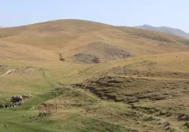 Жиззахда палеолит ва неолит даври ёдгорликлари топилди фото