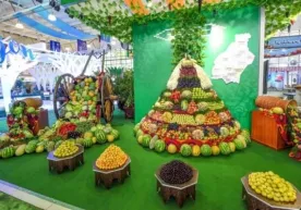 Jahon meva-sabzavot bozorida Oʻzbekistonning ulushi bir foizga ham yetmaydi фото