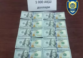 Сирдарёда субсидия асосида уй олиб бериш учун фуқародан минг доллар олган шахс қўлга тушди фото