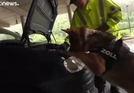 Yevropada giyohvand moddalarni isteʼmol qilish darajasi ortmoqda (video) фото