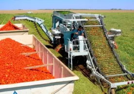 Тадбиркорлар учун электрон гувоҳнома жорий қилинди фото