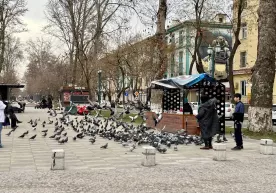 Объявлен прогноз погоды на начало следующей недели фото
