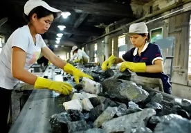 China imposes export curbs on critical minerals amid U.S. trade tensions фото