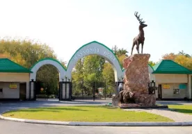 Toshkent hayvonot bog‘iga 5 million dollar mablag‘ ajratiladi фото