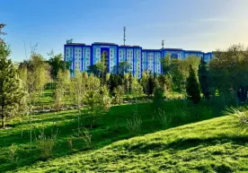 В Ташкенте откроют первый парк без аттракционов фото