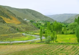 Ўзбекистонда дам олиш кунлари ҳаво кескин исийди: тафсилотлар фото