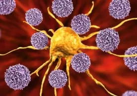 Koronavirusga umrbod immunitet qachon shakllanishi ma’lum bo‘ldi фото