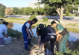 Бухорода ИИБ ходими каналда чўкаётган 87 ёшли фуқарони қутқариб қолди фото