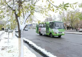 Andijon va Xorazm alohida «xonlik»mi? фото
