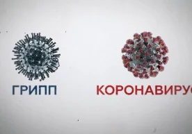 Омикрон ёки грипп — қайси бири юқумлироқ? фото
