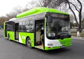 Toshkentda bepul avtobus qatnovlari yo‘lga qo‘yildi фото