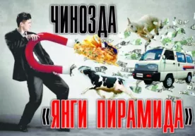 Чинозда яна бир молиявий пирамида ташкил этган шахсга жазо тайинланди фото