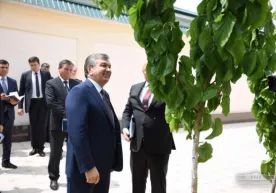 Ҳосилдор тут нави Президентимизда катта таассурот қолдирди фото
