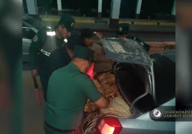 Қашқадарёдан келаётган сифатсиз гўшт йўқ қилинди фото