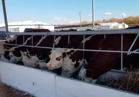 Qozog‘istonlik jurnalistlar O‘zbekistonga xomashyo eksportidan tashvishga tushib qoldi (video) фото