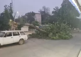 Тошкентда юз берган чанг бўрони пайтида нималар содир бўлди? фото