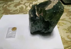 Божхоначилар 2,5 кг зумрад тошни 500 минг долларга сотаётган жиноий гуруҳни аниқлади фото