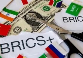 Hindiston TIV: BRIKS dollarning kuchsizlanishidan manfaatdor emas фото