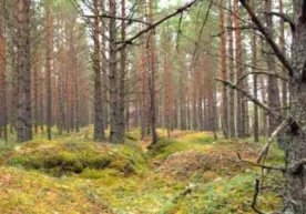 Самарадаги қишлоқда ўзга дунёга ўтиш учун хизмат қилувчи аномал ҳудуд топилди фото
