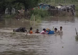 Hindistonda kuchli yog‘ingarchilik tufayli 35 kishi halok bo‘ldi фото