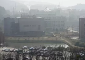 В ЦРУ сообщили, что коронавирус возник в лаборатории фото
